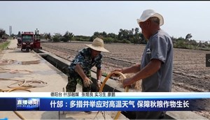什邡：多措并举应对高温天气 保障秋粮作物生长