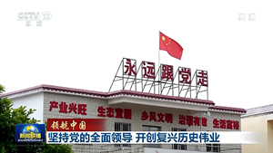 领航中国丨坚持党的全面领导 开创复兴历史伟业