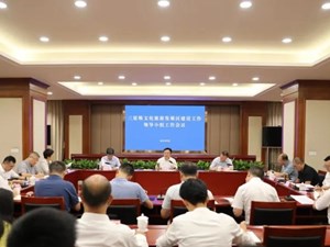 坚持靶向施策精准发力 高水平推动三星堆发展建设