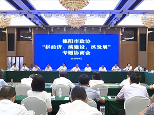 市政协“拼经济 搞建设 抓发展”专题协商会议召开