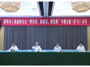 市工商联举行“拼经济 搞建设 抓发展”专题主席（扩大）会议