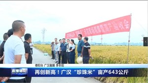 广汉：“珍珠米”亩产643公斤 再创新高