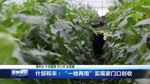 什邡和丰：“一地两用 ”实现家门口创收