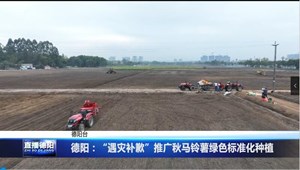 德阳：“遇灾补歉”推广秋马铃薯绿色标准化种植