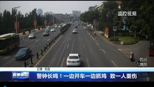 警钟长鸣！一边开车一边抓鸡  致一人重伤