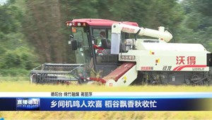 乡间机鸣人欢喜 稻谷飘香秋收忙