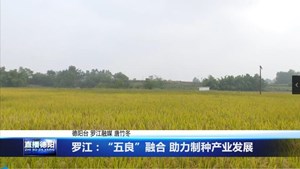 罗江：“五良”融合 助力制种产业发展