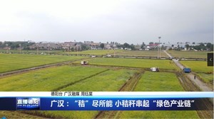 广汉：“秸”尽所能 小秸秆串起“绿色产业链”