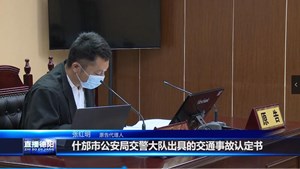 被驳回的诉讼请求