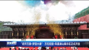 “府开万象·梦回大唐” 万石控股·凤翥澜山展示区正式开放