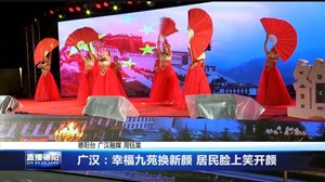 广汉：幸福九苑换新颜 居民脸上笑开颜