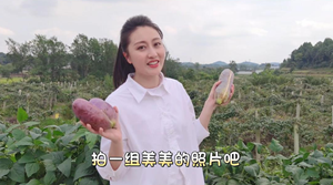 八月瓜熟果飘香 国庆假期采摘忙