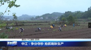 中江：争分夺秒 抢抓晚秋生产