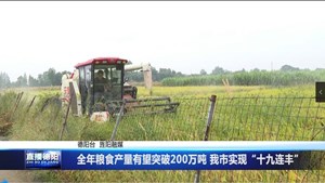 全年粮食产量有望突破200万吨 我市实现“十九连丰”