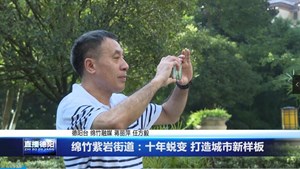 绵竹紫岩街道：十年蜕变 打造城市新样板