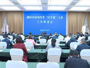 全市两项改革“后半篇”文章工作推进会召开