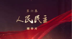 领航：人民民主