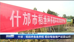 什邡：稻田养鱼鱼养稻 稻谷每亩增产近百公斤