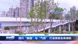 提升“颜值”与“气质” 打造美丽宜居德阳