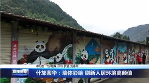 什邡蓥华：墙体彩绘 刷新人居环境高颜值