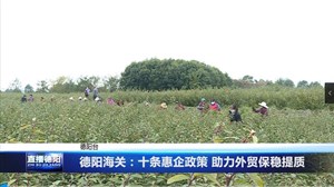德阳海关：十条惠企政策 助力外贸保稳提质