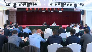 高效推进“五网”建设 筑牢粮食安全根基