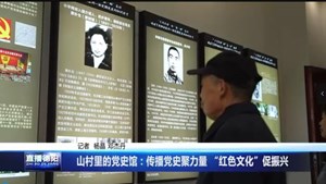 山村里的党史馆：传播党史聚力量 “红色文化”促振兴