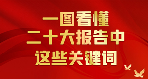 联播+丨一图看懂二十大报告中这些关键词
