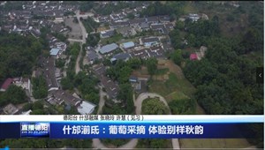 什邡湔氐：葡萄采摘 体验别样秋韵