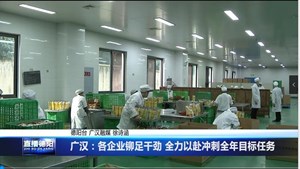 广汉：各企业铆足干劲 全力以赴冲刺全年目标任务
