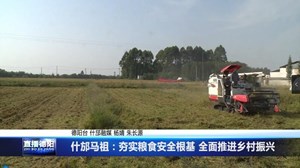 什邡马祖：夯实粮食安全根基 全面推进乡村振兴