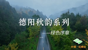 德阳秋韵系列 - 开启绿色序章