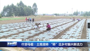 什邡马祖：土地流转 “转”出乡村振兴新活力