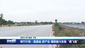 绵竹什地：强基础 抓产业 铺就振兴发展“腾飞路”