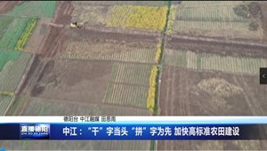 中江：“干”字当头“拼”字为先 加快高标准农田建设