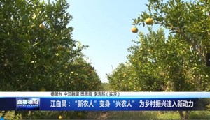 中江白果：“新农人”变身“兴农人” 为乡村振兴注入新动力