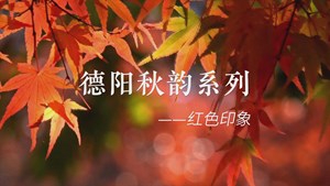 德阳秋韵系列 - 红色印象