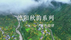 德阳秋韵系列 - 黄色旋律