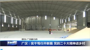 广汉：实干笃行开新篇  党的二十大精神进乡村