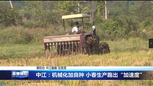 中江：机械化加良种 小春生产跑出“加速度”