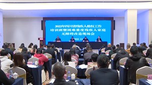 抓好无障碍环境建设 推动残疾人事业高质量发展
