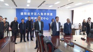 市委依法治市第七督查组到德阳经开区督查