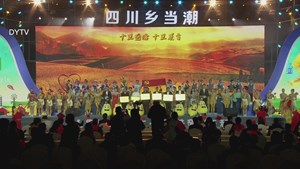 四川省第二届乡村文化振兴魅力竞演大赛（德阳赛区）圆满结束！