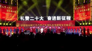 中国文艺志愿者先锋队走进德阳文艺晚会