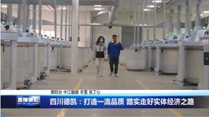 四川德凯：打造一流品质 踏实走好实体经济之路