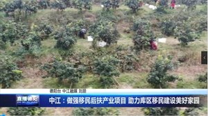 中江：做强移民后扶产业项目 助力库区移民建设美好家园
