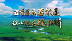 若诗若画若尔盖 德心德意德阳情