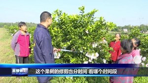 罗江：多点入手 推进“新农人”职业化