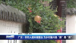 广汉：农村人居环境整治 为乡村振兴提“颜”增“质”