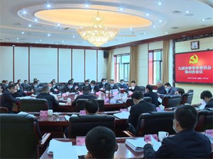 市委常委会召开会议